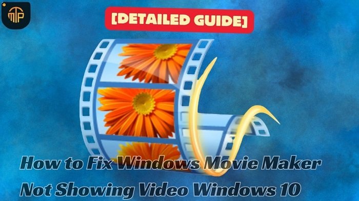 How to Fix Windows Movie Maker Not Showing Video Windows 10